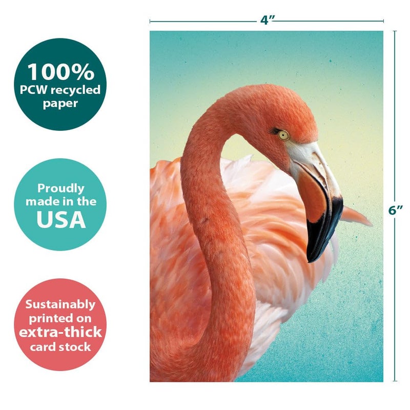Tree-Free Greetings EcoNotes 12 Count Deco Flamingo All Occasion Notecard Set with Envelopes, 4 x 6 Inches (FS56228) - Image 4
